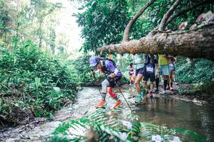 BIB: 
                            <button type="button" onclick="openModal(25450372)" class="btn btn-primary btn-sm float-right btn-popup" data-toggle="modal" data-target=".modal-high-quality">
                        <i class="fas fa-shopping-cart"></i> Add to Cart
                    </button>
                                            <button type="button" onclick="isThisMe(25450372, true)" class="btn btn-success btn-sm float-right btn-popup btn-isme hidden" data-toggle="tooltip" data-placement="bottom" title="นี่คือรูปของคุณใช่ไหม คลิกที่นี่เพื่อเอาเข้าอัลบั้ม">
                        <i class="fas fa-plus"></i> Add to album
                    </button>
                    <button type="button" onclick="isThisMe(25450372, false)" class="btn btn-warning btn-sm float-right btn-popup btn-isnotme hidden">
                        <i class="fas fa-ban"></i> Remove from album
                    </button>